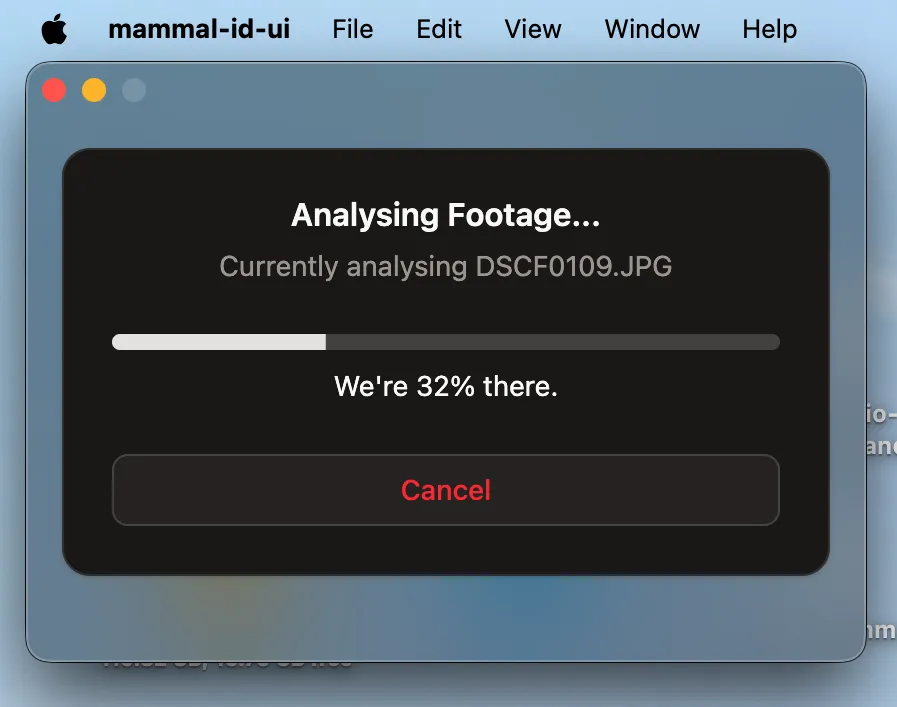 Analysing Screen